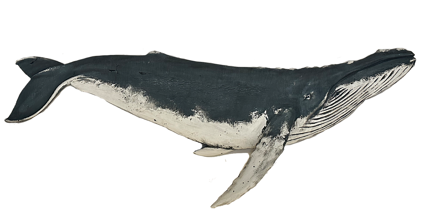 5β Humpback