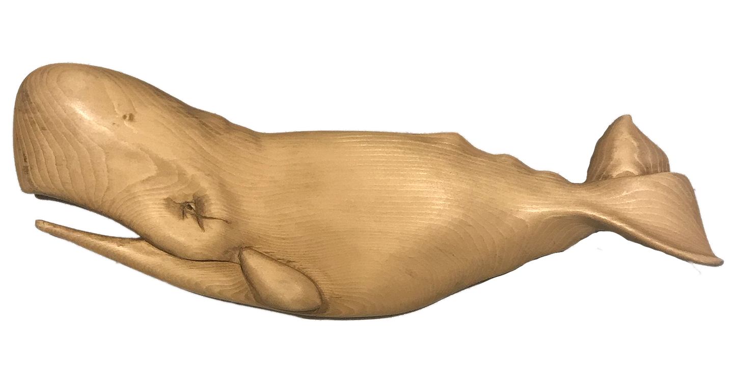20” Sperm Whale