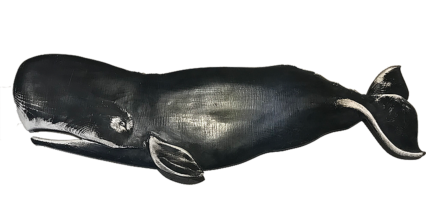 36” Sperm Whale