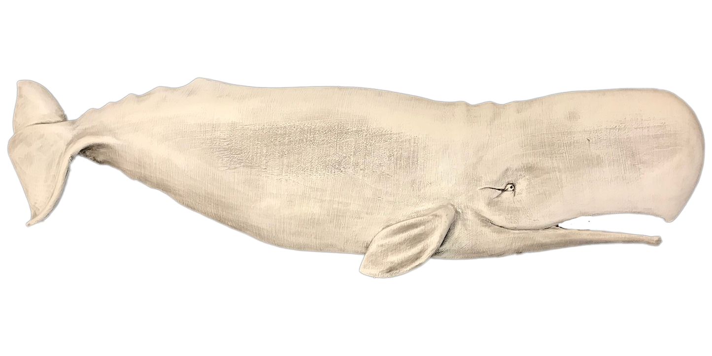 48” Sperm Whale
