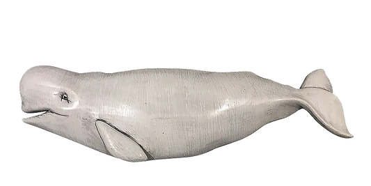 16” Baby Beluga