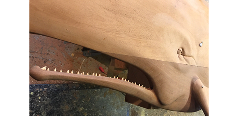 48” Sperm Whale with Teeth