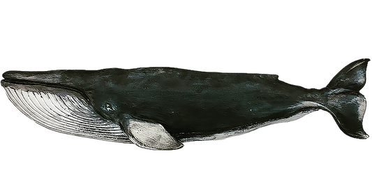 36” Finback