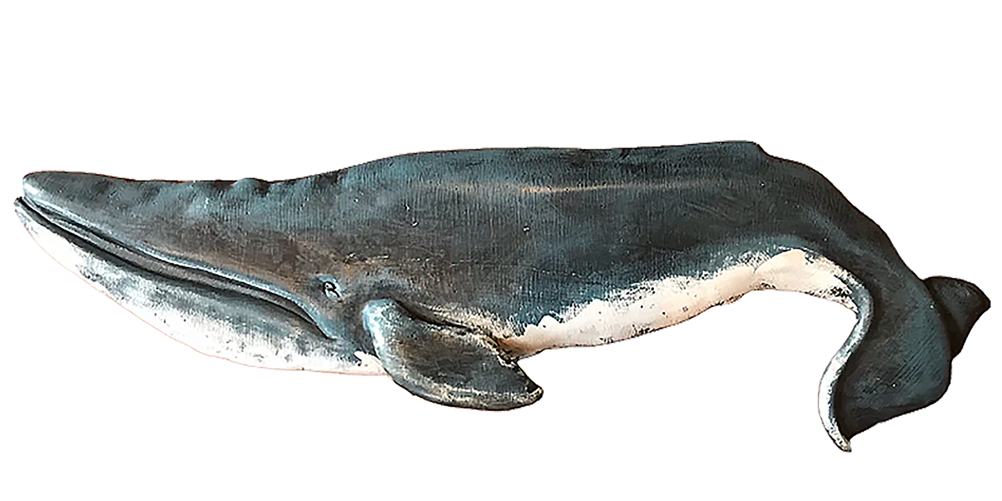 36” Blue Whale