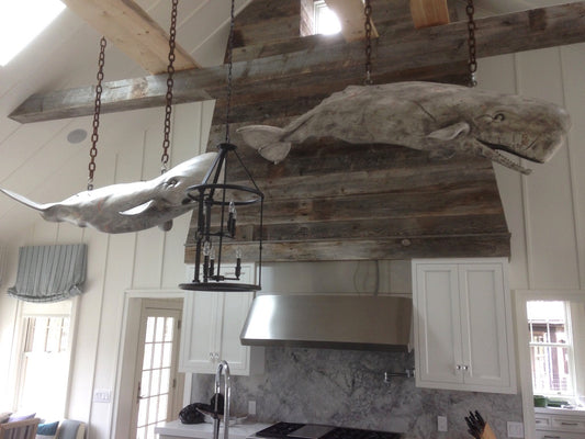 Double Whale Installation