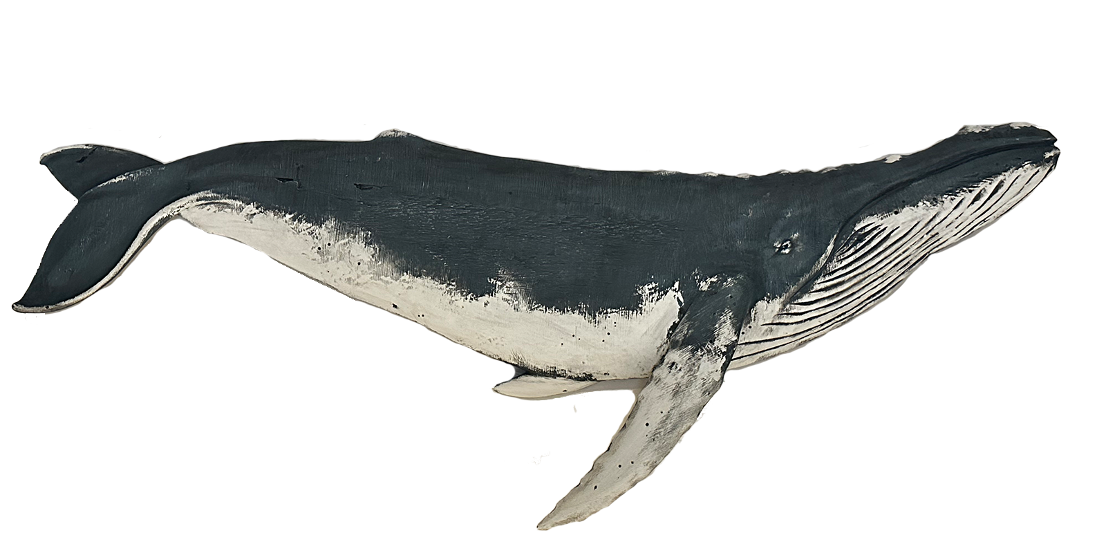 5 Humpback Nantucket Whales