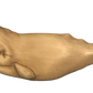 20” Sperm Whale