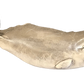 20” Sperm Whale