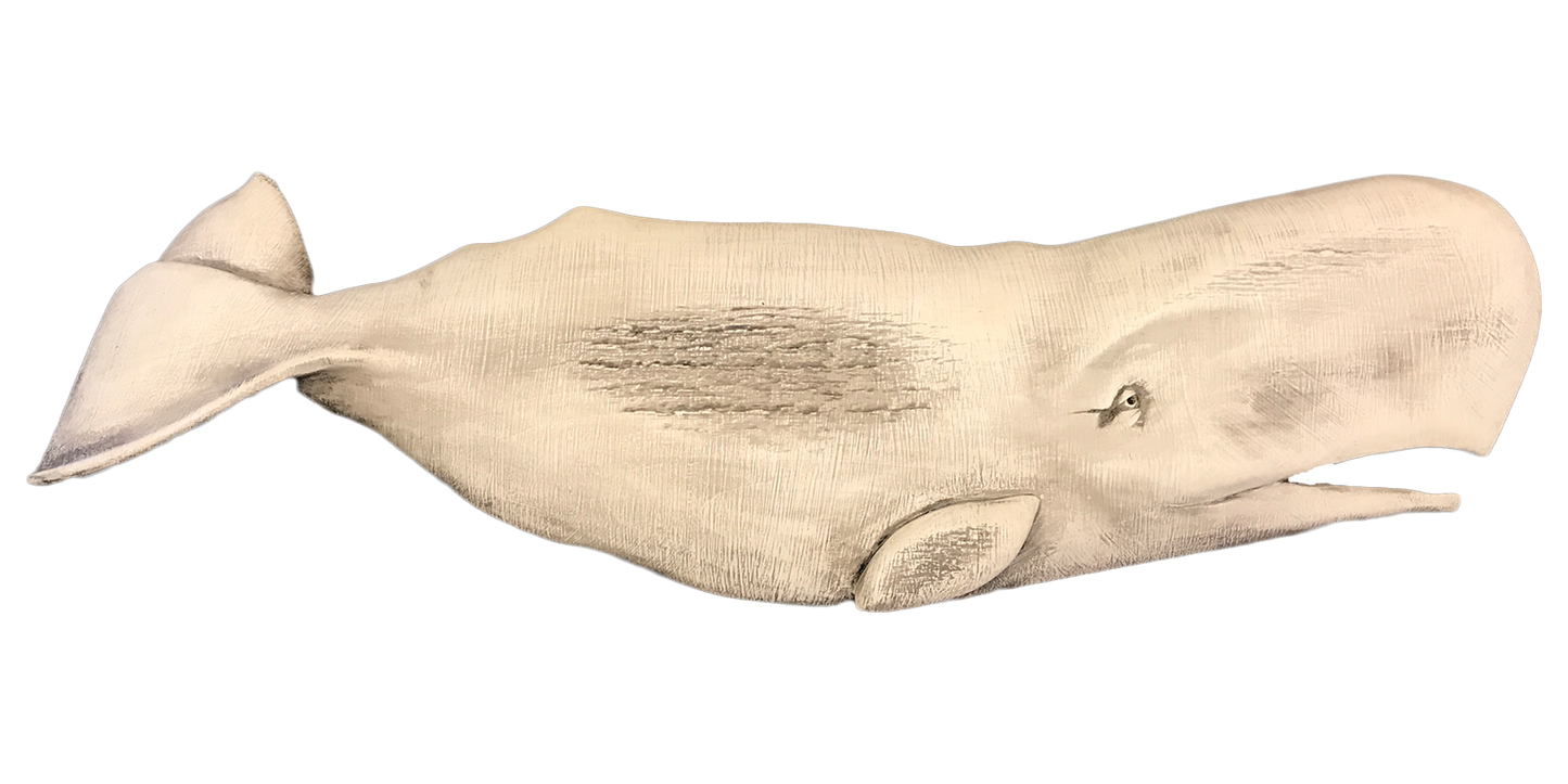 20” Sperm Whale