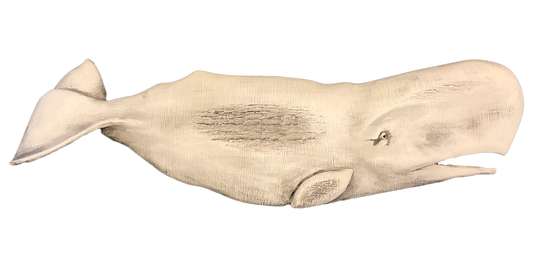 20” Sperm Whale