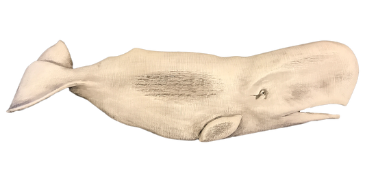 All Nantucket Whales