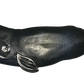 36” Sperm Whale