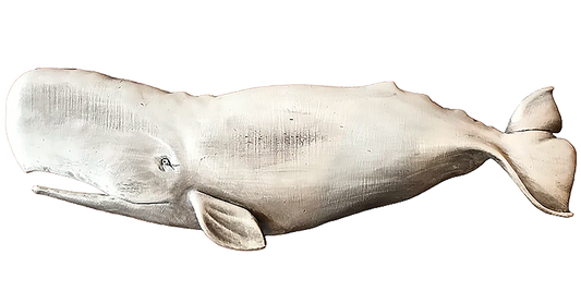 36” Sperm Whale