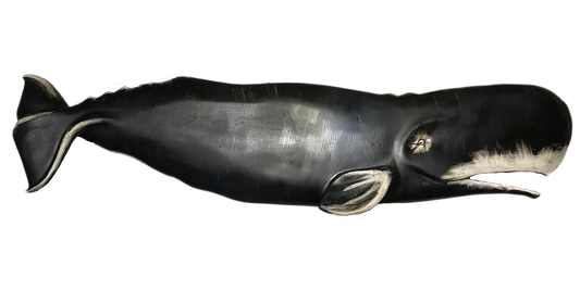 48” Sperm Whale