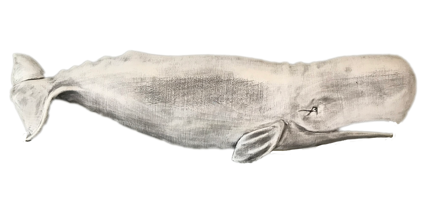 48” Sperm Whale