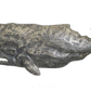 Essex