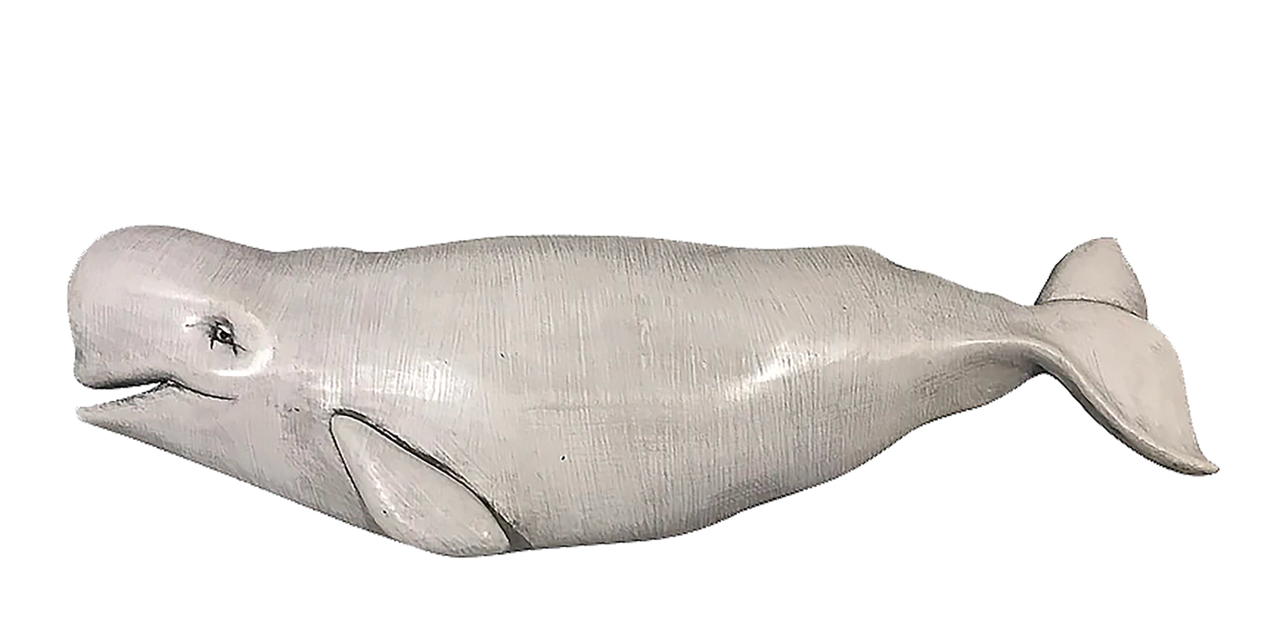16” Baby Beluga