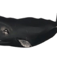 14” Sperm Whale