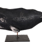 14" Sperm Whales on Stands