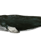 36” Finback
