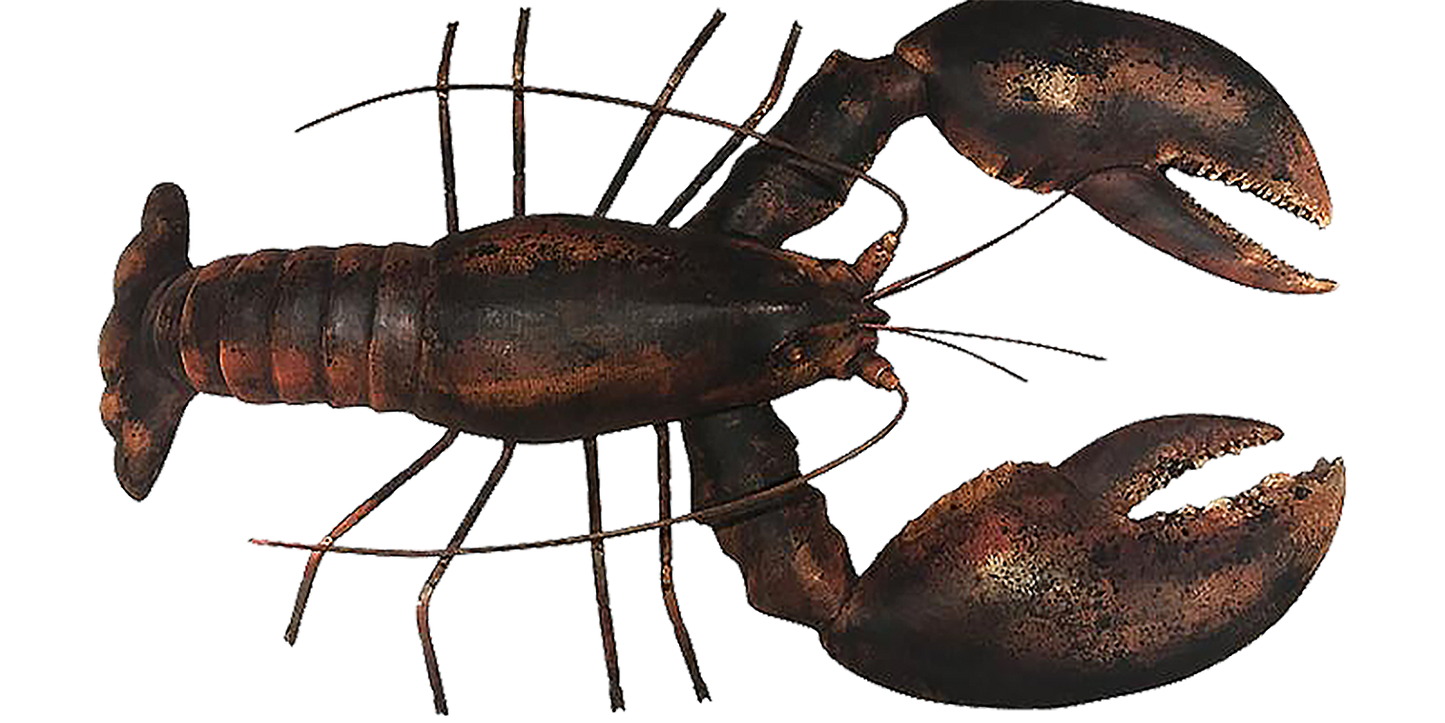 4’ Wood and Steel Lobster