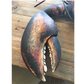 4’ Wood and Steel Lobster