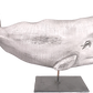 14" Sperm Whales on Stands