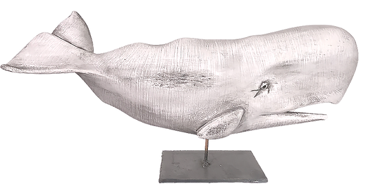 All Nantucket Whales